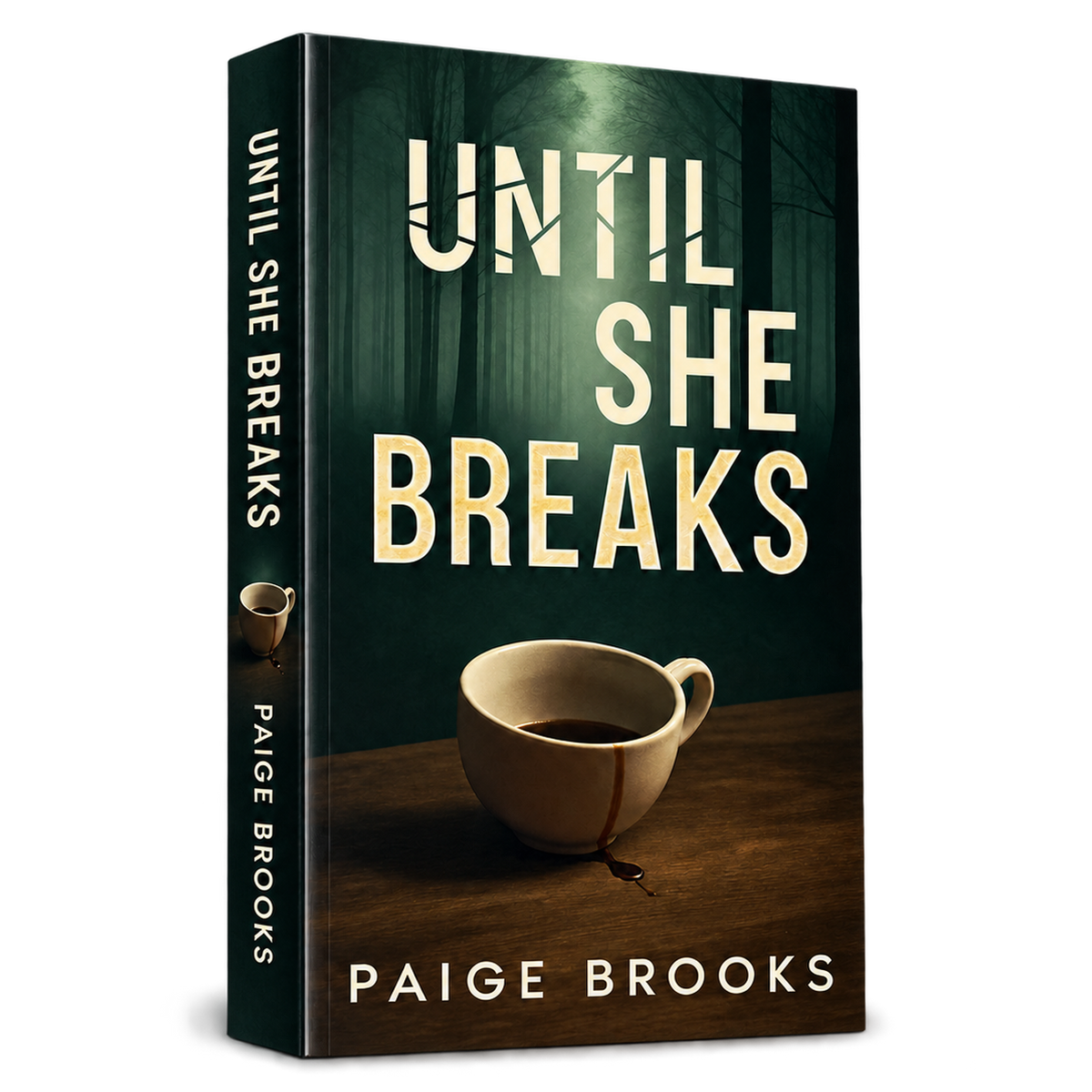 Until She Breaks by Paige Brooks paperback, enlarged view